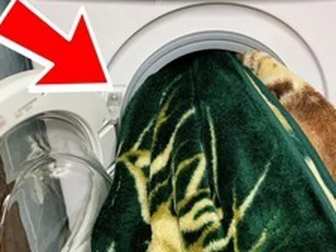 5 thứ vội đến đâu cũng KHÔNG BAO GIỜ được cho vào máy giặt tại nhà