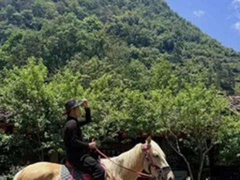Phát hiện trưởng bộ phận 1 công ty công nghệ lương 20 triệu bất ngờ bỏ việc, hiện tại sau 3 năm gây bất ngờ