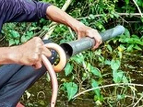 Theo chân thợ rừng U Minh bắt lươn kiếm tiền triệu