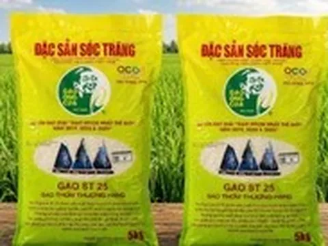 Quy trình sản xuất gạo ST25 của ông Cua ra sao mà bị làm nhái nhiều dữ vậy?