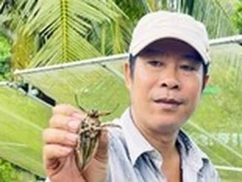 Bỏ nghề hướng dẫn viên, người đàn ông về quê nuôi loài côn trùng đặc biệt, bán cả ngàn con/tháng