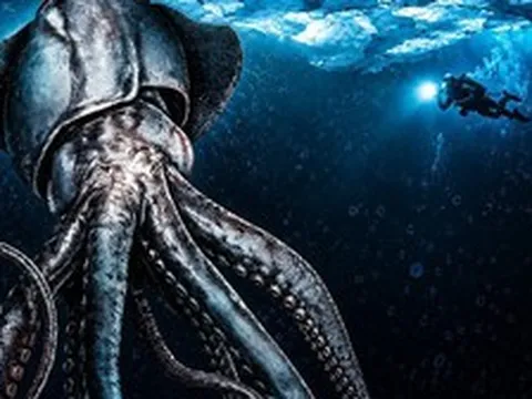 Vì sao con người không dám khám phá vùng biển dưới lớp băng Nam Cực khắc nghiệt nhất Trái Đất?