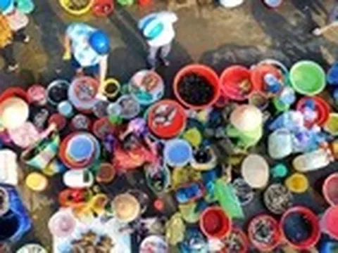 Định kiến chợ chồm hổm là lộn xộn? Ngôi chợ ở miền Tây này sẽ khiến bạn nghĩ lại
