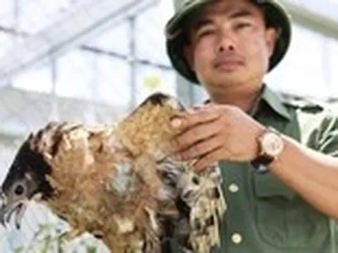 Mái nhà cuối đời của gần 200 động vật hoang dã bị thương tật ở Buôn Đôn