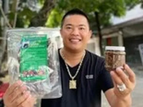 Hơn trăm tỉ tiền 'trâu gác bếp' được bán trên sàn, bất ngờ lượng mua từ shop Hải Sapa TV