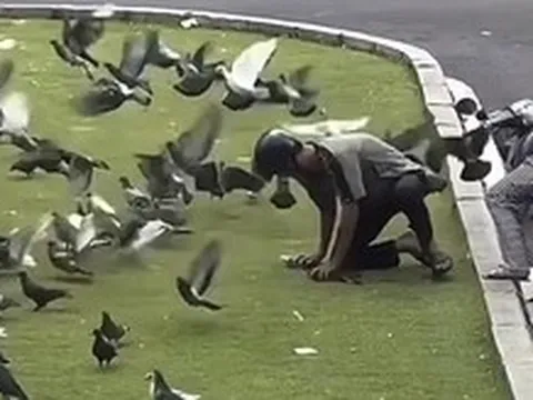 Công an phường Sài Gòn làm việc với thanh niên bắt bồ câu giữa trung tâm TP.HCM