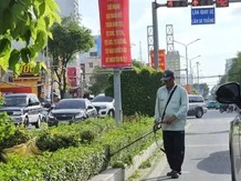 Cần Thơ dự kiến giao cấp xã bố trí địa điểm cho hoạt động quảng cáo rao vặt