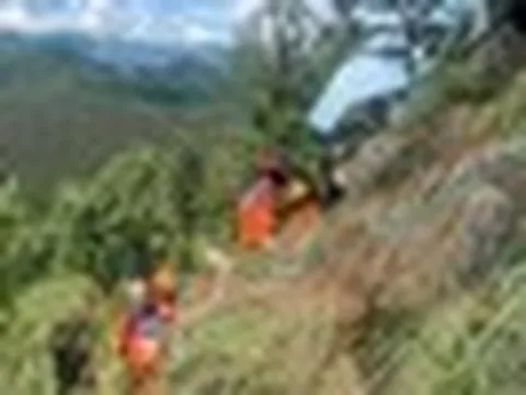 Cụ ông 93 tuổi lên núi hái thuốc rồi mất tích, 3h sáng đội cứu hộ bất ngờ phát hiện tín hiệu lạ