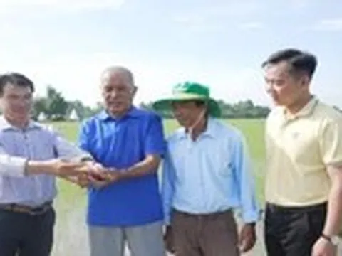 Đúng bí kíp, mùa vàng càng thắng lớn