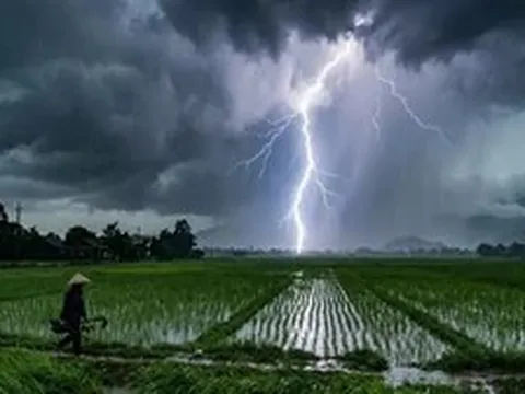 2 người bị sét đánh khi đang đi leo núi: Một nạn nhân hôn mê sâu, phù não