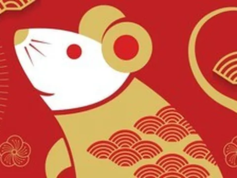 Tổng quan tử vi tuổi Tý năm 2026