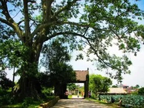 Những tour du lịch 0 đồng quanh Hà Nội dịp 2/9