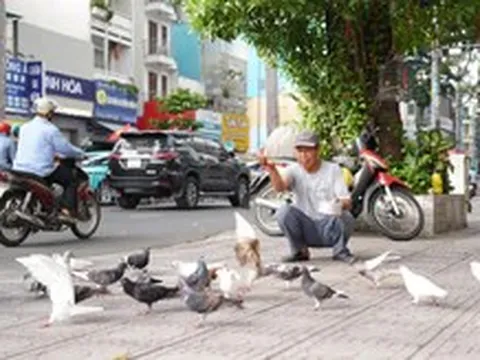 Người cựu binh hơn 30 năm ‘đãi tiệc’ đàn bồ câu giữa lòng TP.HCM