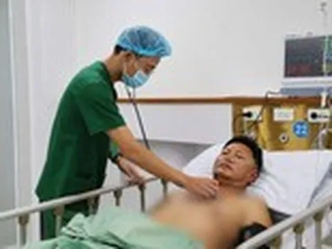 Bị ong vò vẽ đốt dẫn đến nhồi máu cơ tim cấp