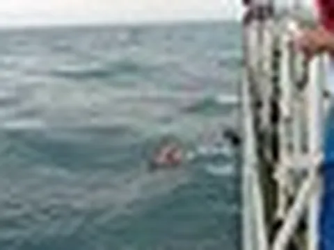 7 ngư dân ra khơi rồi mất tích 23 ngày, đội cứu hộ ráo riết tìm kiếm rồi cảnh tượng bất ngờ xuất hiện