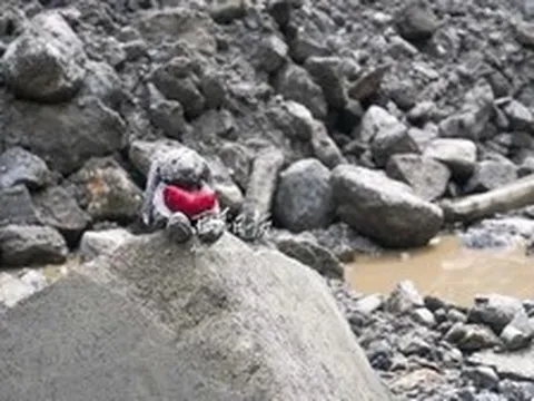 Bức ảnh nhói lòng nhất sau vụ lũ quét tại Nepal - Trung Quốc