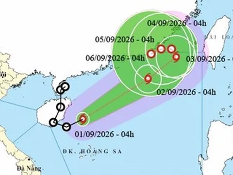 Bão Saudel ‘tái sinh’, trở thành bão số 5 trên Biển Đông