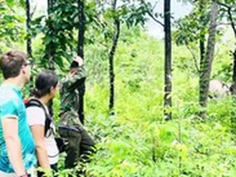 Ngắm voi, động vật hoang dã ở trạm cứu hộ tại Buôn Đôn dịp lễ