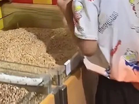 Bức ảnh chụp trong siêu thị khiến nhiều người lắc đầu ngán ngẩm: Con đáng trách 1, cha mẹ đáng trách 10