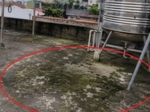 Lời khuyên cho những gia đình lâu ngày không vệ sinh sân thượng