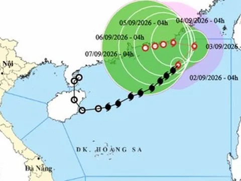 Bão số 5 Saudel di chuyển ‘kỳ dị’, đi lòng vòng trên biển nhiều ngày