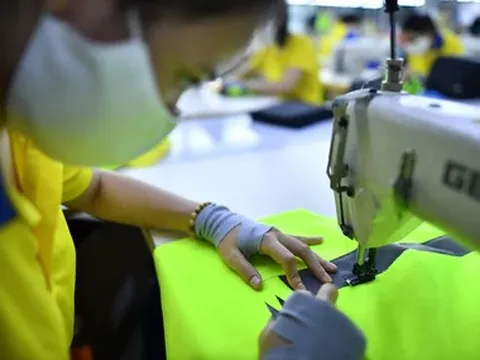 Vì sao doanh nghiệp 'đắp chiếu' nhiều năm bỗng gánh núi tiền phạt khi giải thể?