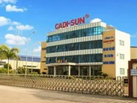 Vụ giấu 1.400 tỉ đồng doanh thu: Cadisun lớn cỡ nào?