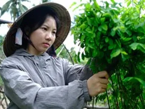 Nữ sinh Krông Pa bốc xếp hàng từ chiều tối đến tinh mơ, không còn cha mẹ, tự tiến vào đại học