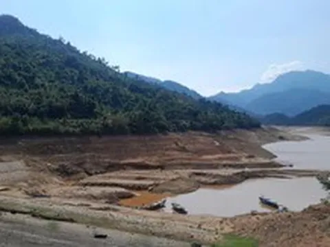 Du khách bất ngờ vì cảnh tượng lạ mắt khi đến Thiền viện Trúc Lâm Bạch Mã