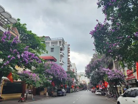 Hải Phòng tạm cấm đường Cầu Đất để thu hồi, vận chuyển và huỷ nổ 1 quả bom