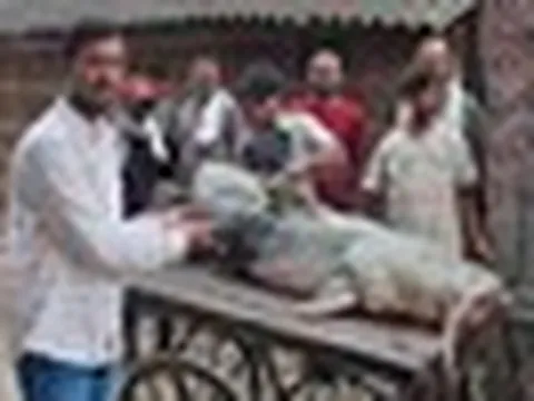 Phát hiện loạt cá lạ có con nặng tới 45kg sau lũ Nepal, người ăn vào bị ốm: Chính quyền lập tức cảnh báo