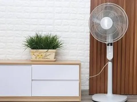 Nên dùng quạt trần hay quạt cây thì mát hơn?