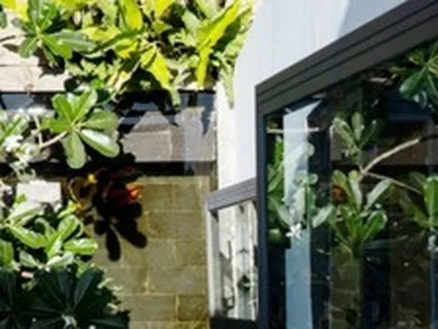 Ông bà dạy: Trong nhà có 5 loại cây này, ai hỏi cũng đừng bán, bảo sao nhà giàu thích mê