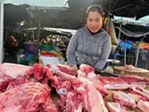 Giá heo hơi ngày 6-9: Cao nhất là các tỉnh phía Bắc, lên mức 60.000 đồng/kg