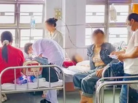 Xác định nguyên nhân gây ngộ độc do ăn bánh mì khiến 254 người ở Gia Lai nhập viện