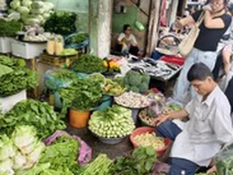 Tin tức sáng 7-9: Khó mua bông cải Đà Lạt