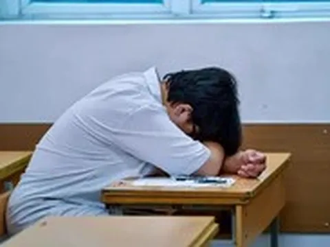 Từ phản ứng stress trầm trọng đến hành vi bạo lực, nguyên nhân do đâu?