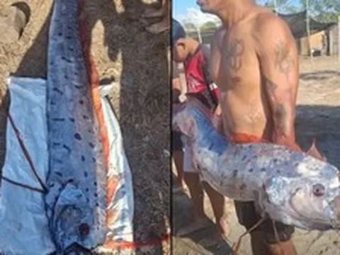 Cá “ngày tận thế” dài 4 mét trôi dạt vào bờ biển Indonesia, 6 ngày sau 6 ngọn núi lửa phun trào cùng lúc