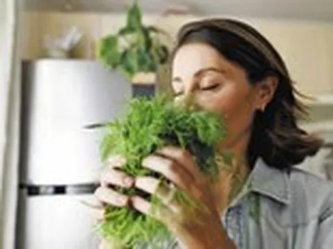 Khứu giác thay đổi có thể tiết lộ điều gì về sức khỏe?