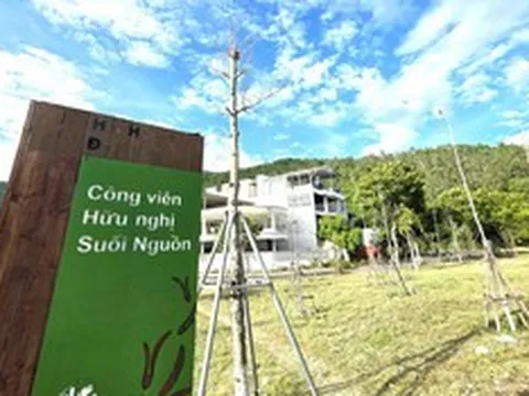 Nhiều cây xanh chết khô tại công viên trên tuyến đường lên bán đảo Sơn Trà
