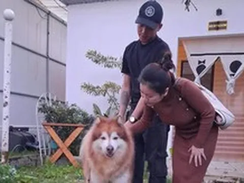 Con chó bị hành hạ ở Đà Lạt được 'giải cứu'
