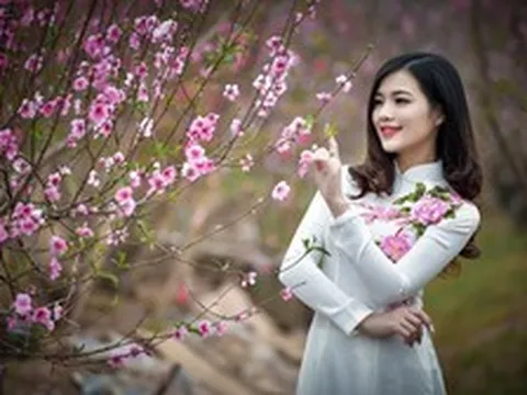 Trình Chính phủ phương án nghỉ Tết Nguyên đán 2027 kéo dài 7 ngày