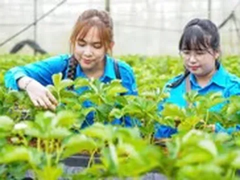 Kết nối để hành trình khởi nghiệp của bạn trẻ không đứt gãy