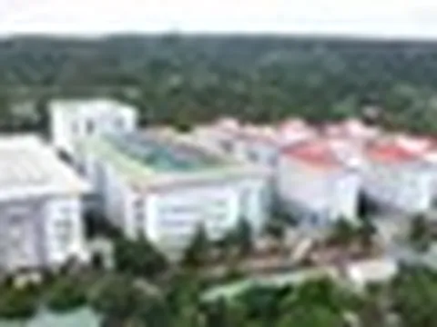 Công ty Việt Mỹ từng trúng gói thầu y tế 127 tỷ đồng ở Đắk Lắk như thế nào?