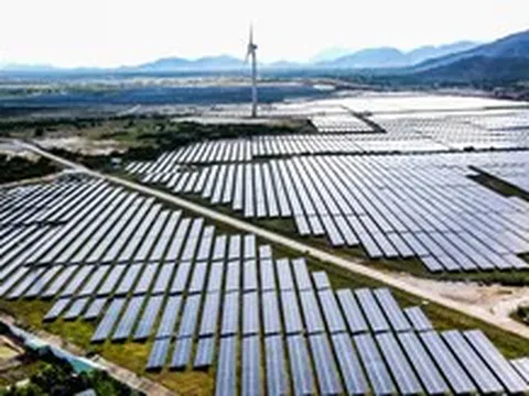 Khánh Hòa đấu thầu 7 khu đất thực hiện các dự án điện gió, điện mặt trời