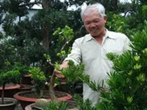 Nhờ livestream, người trồng hoa ở Sa Đéc bán hàng tăng gấp 10 lần