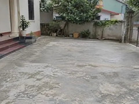 Vì sao ngày càng nhiều gia đình không còn làm sân hoàn toàn bằng bê tông? 2 lựa chọn mới vừa đẹp vừa giảm cảm giác nóng bí