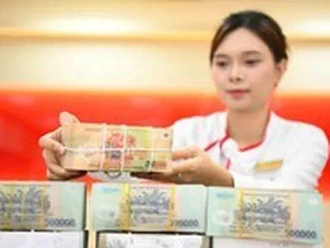 Một công ty được cấp hạn mức tín dụng 11.150 tỉ, mượn nhà đất của tổng giám đốc để thế chấp