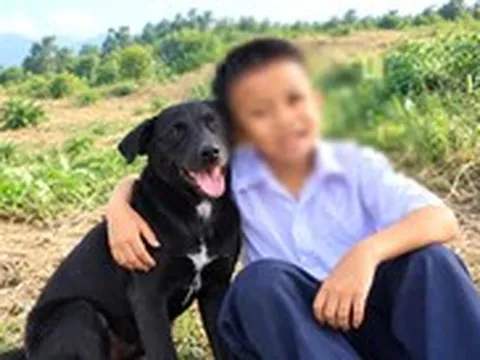 Chó Đen theo sát cậu chủ nhỏ lạc giữa núi rừng: Từng suýt bị bỏ rơi, gia đình cậu bé xin nuôi