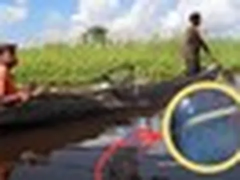 Sinh vật mất tích hơn 40 năm bất ngờ "sống lại": Người phụ nữ vô tình tìm thấy 2 con vào phút cuối